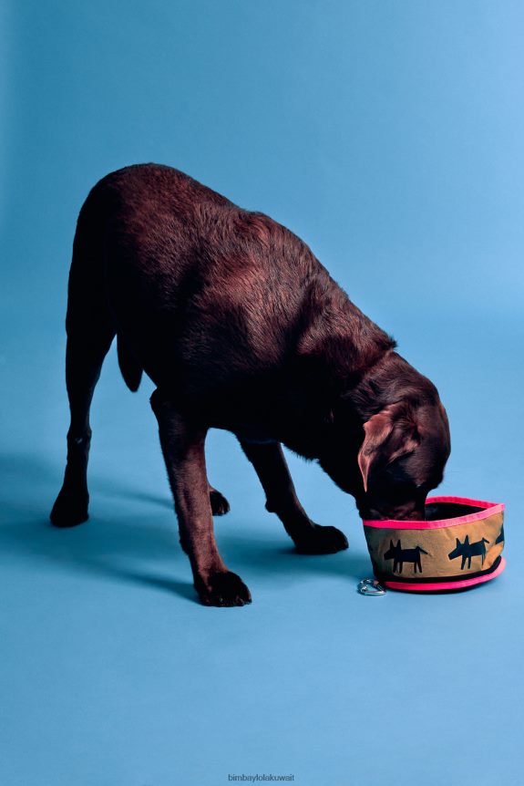 كو Bimba Y Lola وعاء ماء بشعار الحيوانات الأليفة الكاكي 24BTV4969 مُكَمِّلات